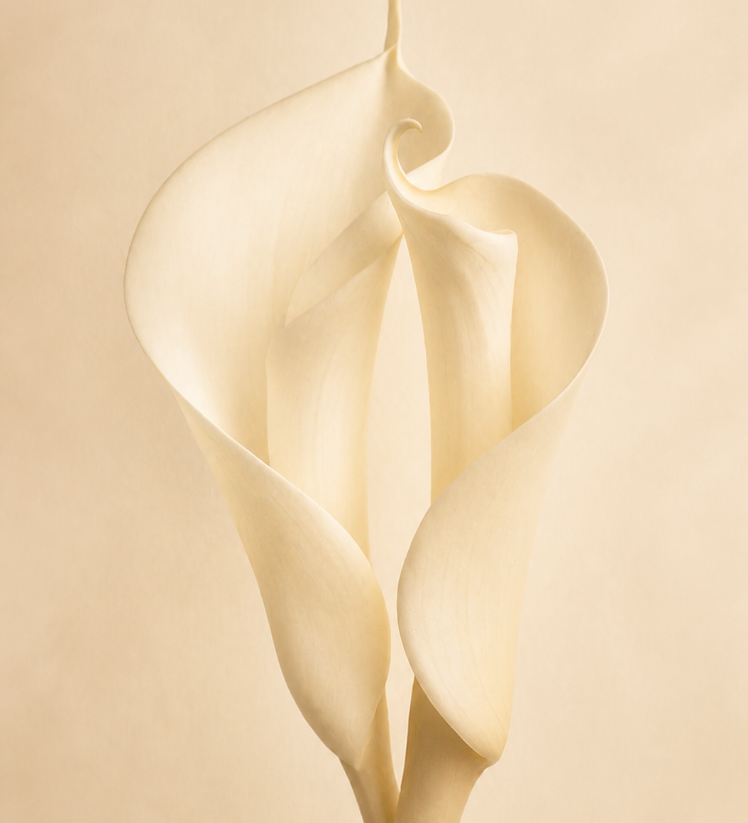 exec-27725a58-66b9-4e66-9d06-3b9a322f7d2c.png